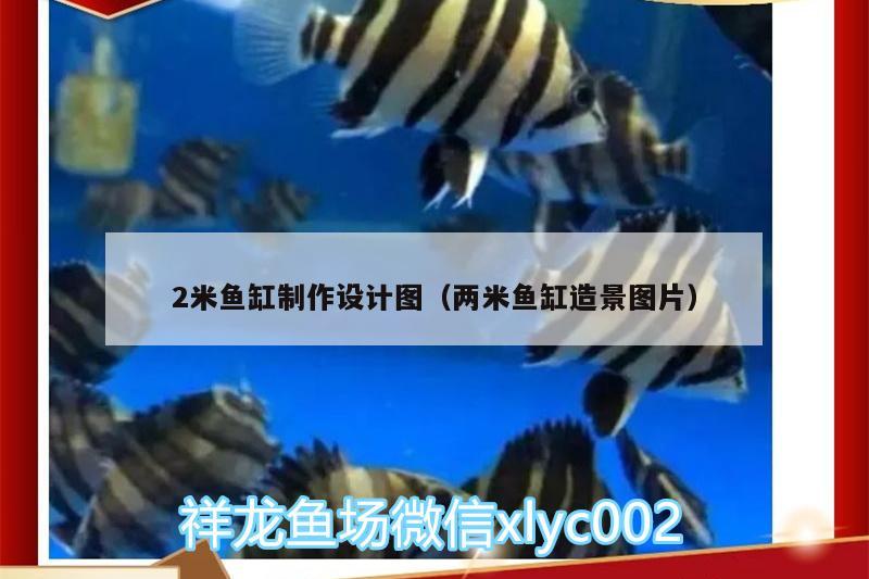 2米魚缸制作設計圖（兩米魚缸造景圖片）