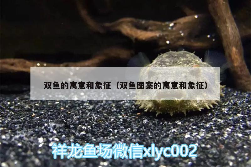 雙魚的寓意和象征（雙魚圖案的寓意和象征）