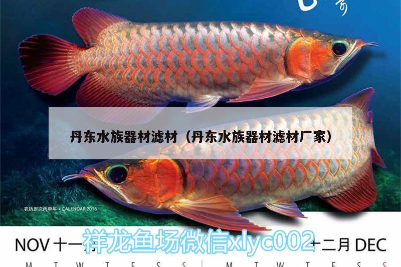 丹東水族器材濾材（丹東水族器材濾材廠家） 白子紅龍魚 第1張