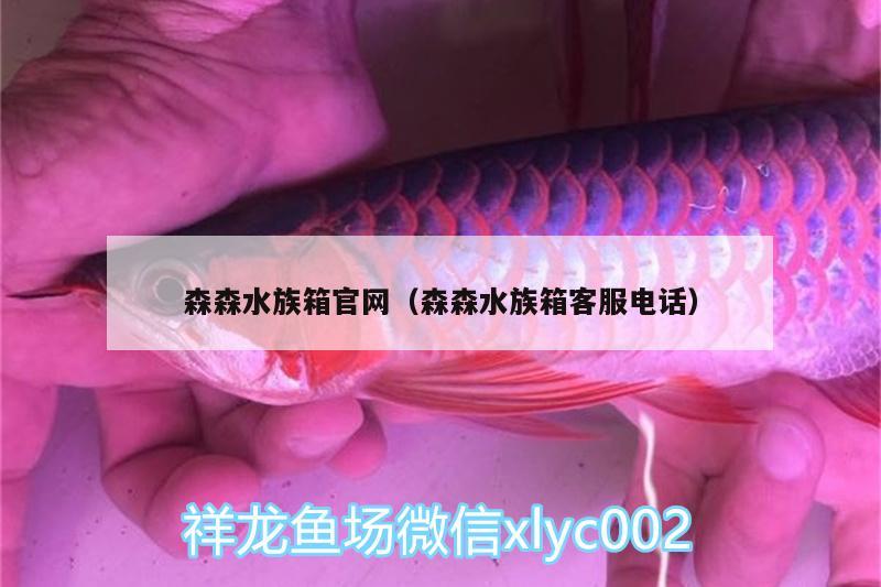 森森水族箱官網(wǎng)（森森水族箱客服電話） 魚缸/水族箱 第1張