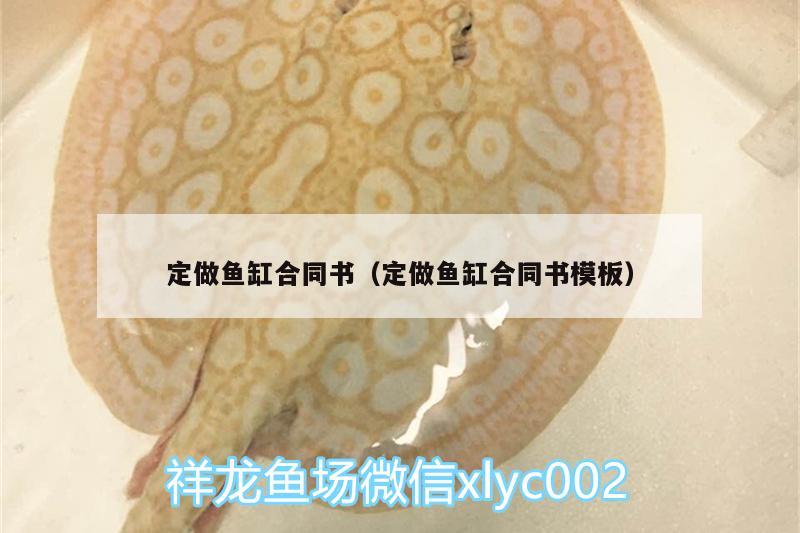 定做魚缸合同書（定做魚缸合同書模板） 非洲金鼓魚 第2張