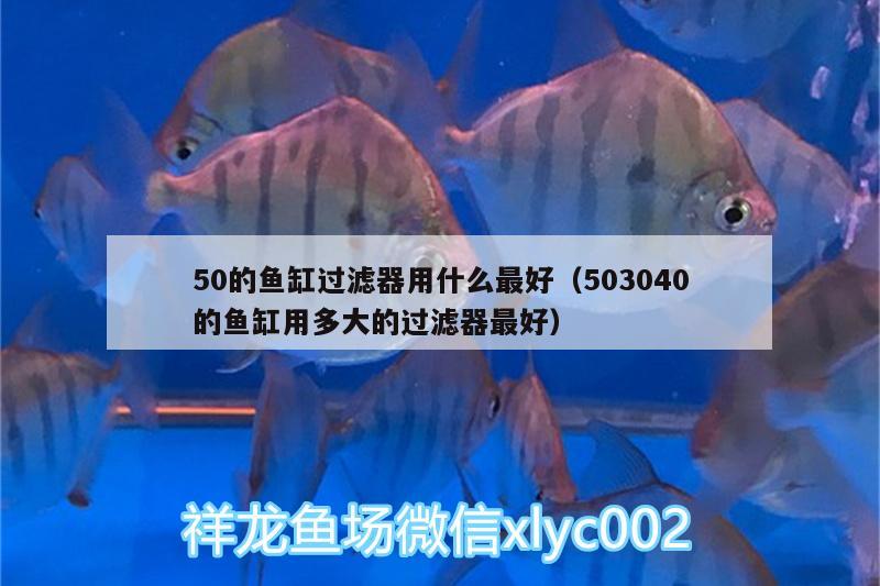 50的魚缸過濾器用什么最好（503040的魚缸用多大的過濾器最好）