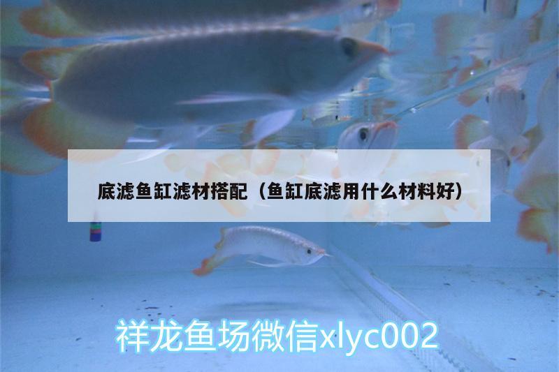 底濾魚缸濾材搭配（魚缸底濾用什么材料好）