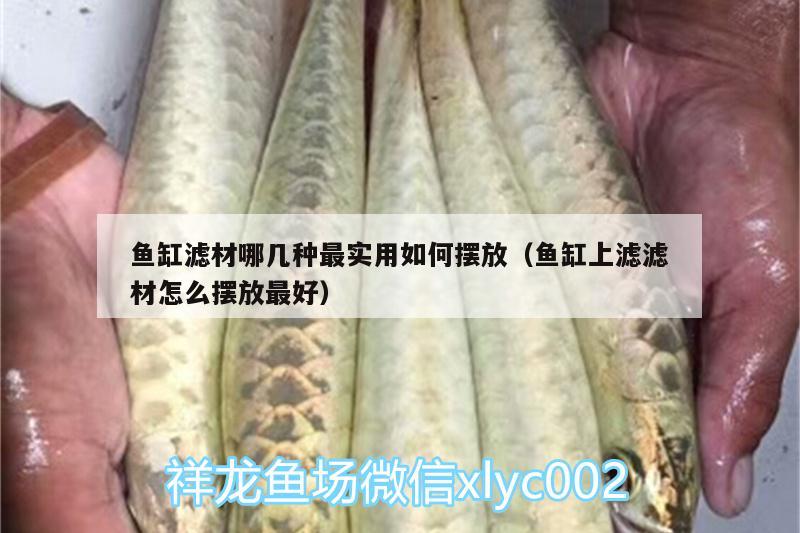 魚缸濾材哪幾種最實用如何擺放（魚缸上濾濾材怎么擺放最好） 泰龐海蓮魚 第2張