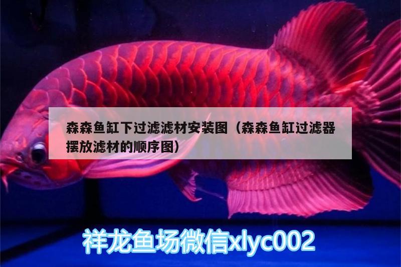 森森魚缸下過濾濾材安裝圖（森森魚缸過濾器擺放濾材的順序圖） 皇冠黑白魟魚 第2張