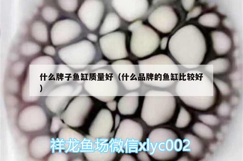 什么牌子魚缸質(zhì)量好（什么品牌的魚缸比較好）