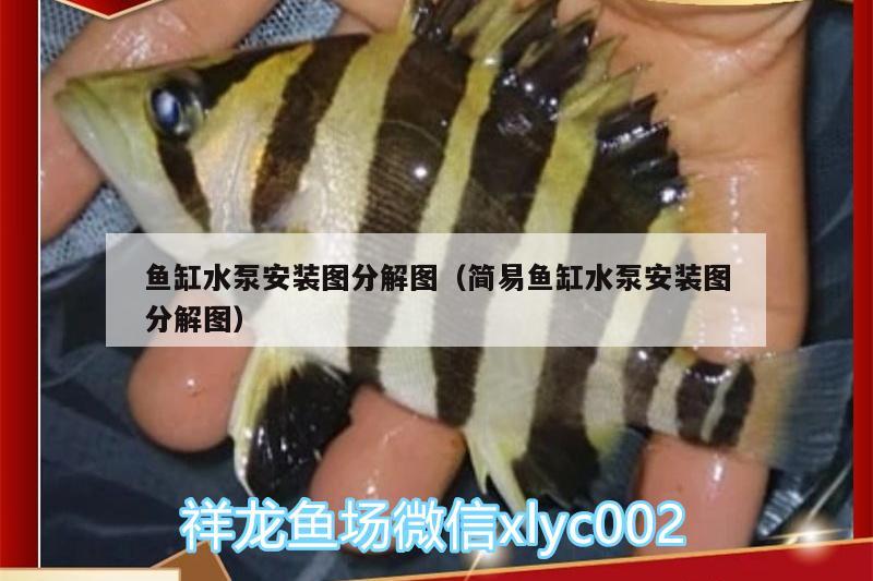 魚缸水泵安裝圖分解圖（簡易魚缸水泵安裝圖分解圖） 魚缸水泵 第1張