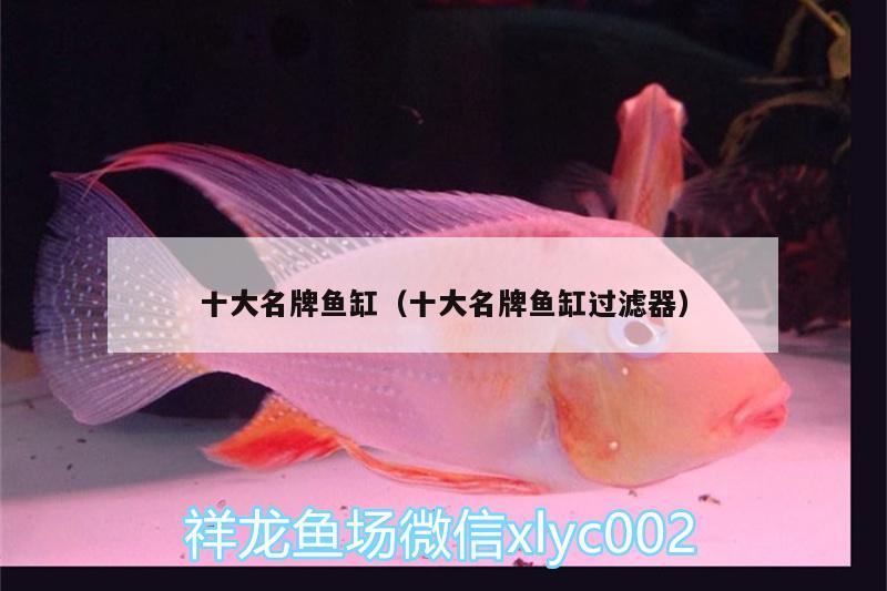 十大名牌魚缸（十大名牌魚缸過濾器）