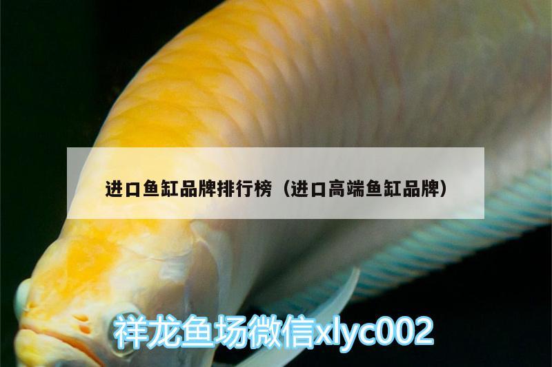 進(jìn)口魚缸品牌排行榜（進(jìn)口高端魚缸品牌） 水族用品 第2張