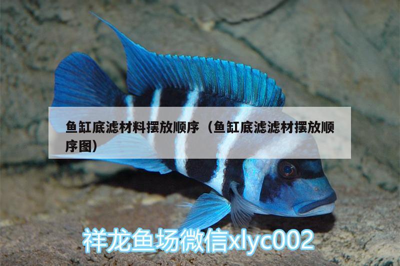 魚缸底濾材料擺放順序（魚缸底濾濾材擺放順序圖） BD魟魚 第2張