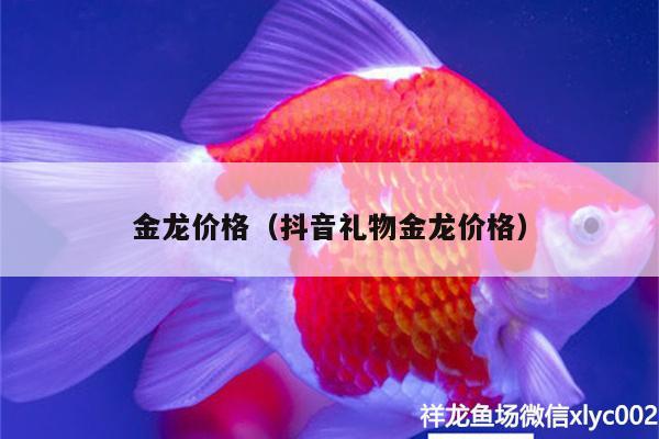 金龍價(jià)格（抖音禮物金龍價(jià)格） 印尼四紋虎 第1張