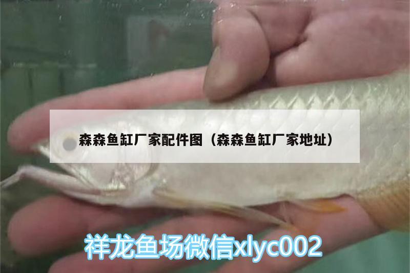 森森魚缸廠家配件圖（森森魚缸廠家地址） 紅魔王銀版魚 第1張