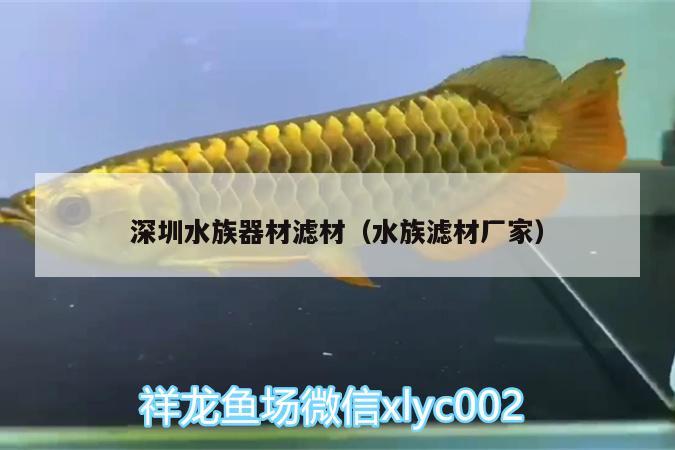 深圳水族器材濾材（水族濾材廠家） 福魟魟魚 第2張