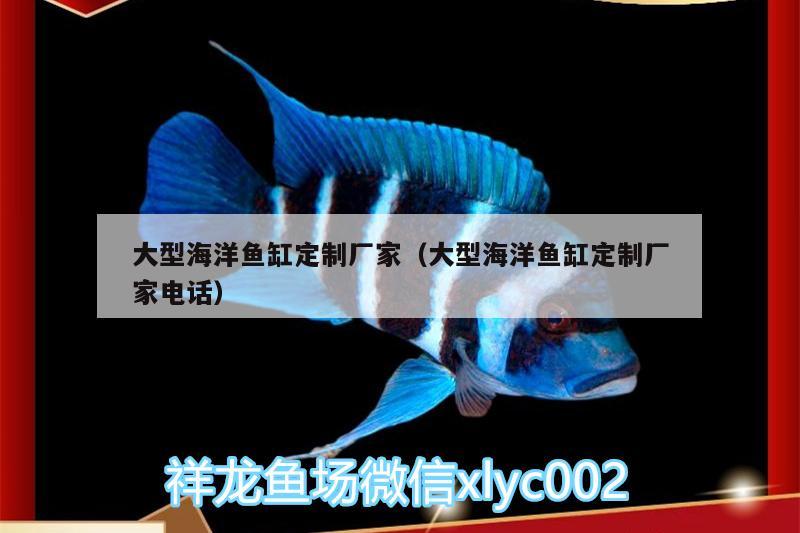 大型海洋魚缸定制廠家（大型海洋魚缸定制廠家電話） 元寶鯽 第3張