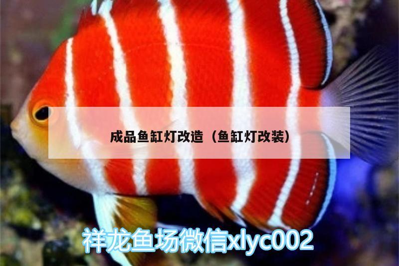 成品魚缸燈改造（魚缸燈改裝） 和尚魚 第3張