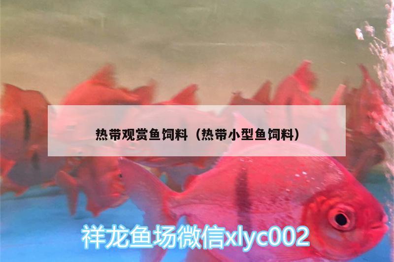 熱帶觀賞魚飼料（熱帶小型魚飼料） 白條過(guò)背金龍魚