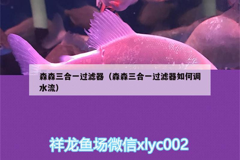 森森三合一過濾器（森森三合一過濾器如何調(diào)水流） 觀賞魚水族批發(fā)市場 第2張