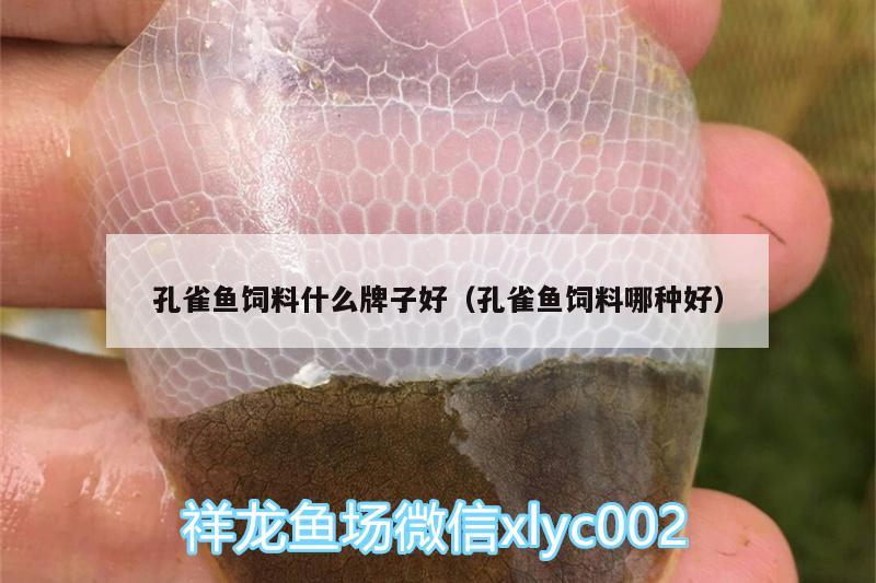 孔雀魚(yú)飼料什么牌子好（孔雀魚(yú)飼料哪種好） 喂食器 第1張