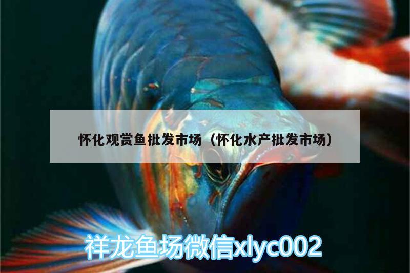 懷化觀賞魚(yú)批發(fā)市場(chǎng)（懷化水產(chǎn)批發(fā)市場(chǎng)）