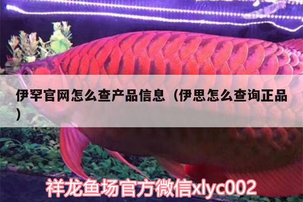 伊罕官網怎么查產品信息（伊思怎么查詢正品） 伊罕水族 第2張