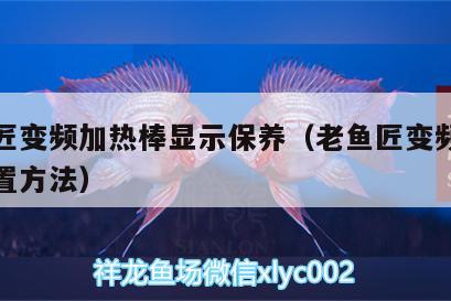 老魚(yú)匠變頻加熱棒顯示保養(yǎng)（老魚(yú)匠變頻加熱棒設(shè)置方法） 老魚(yú)匠