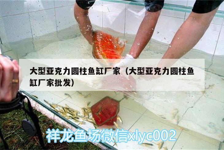 大型亞克力圓柱魚缸廠家（大型亞克力圓柱魚缸廠家批發(fā)） 祥龍藍(lán)珀金龍魚 第2張