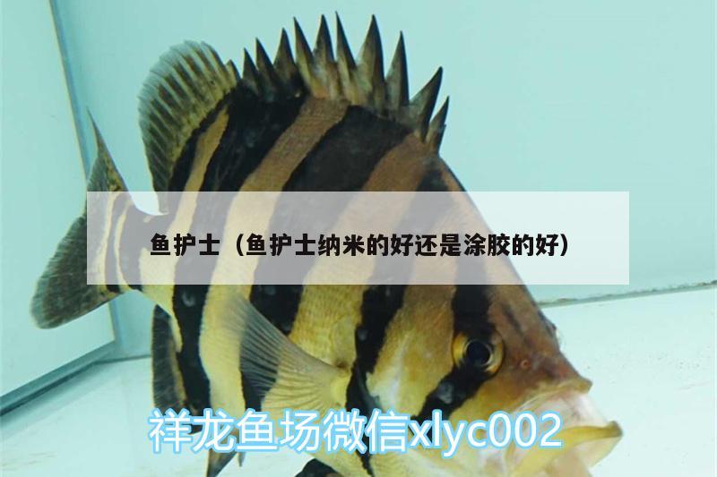 魚護士（魚護士納米的好還是涂膠的好） 純血皇冠黑白魟魚 第2張