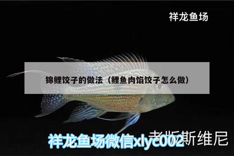 錦鯉餃子的做法（鯉魚肉餡餃子怎么做） 金龍魚糧 第1張