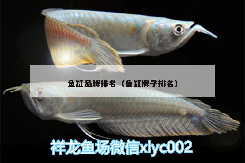 魚缸品牌排名（魚缸牌子排名）