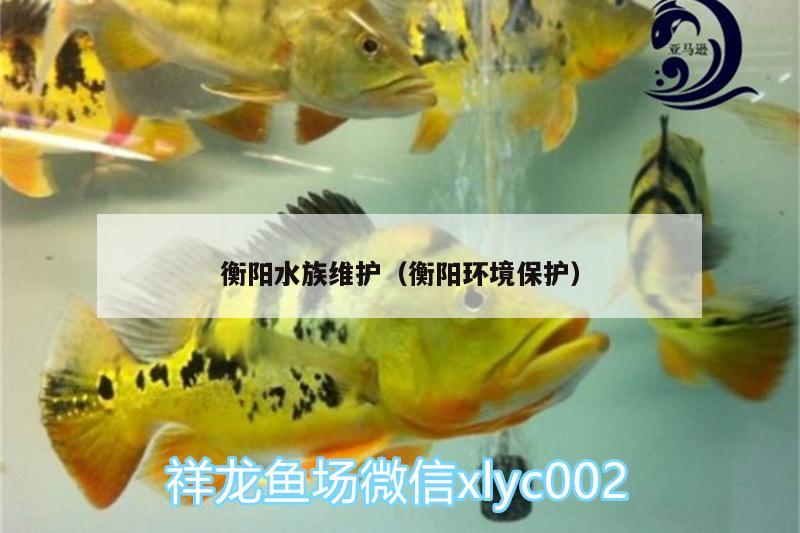 衡陽水族維護(hù)（衡陽環(huán)境保護(hù)） PH調(diào)節(jié)劑 第2張