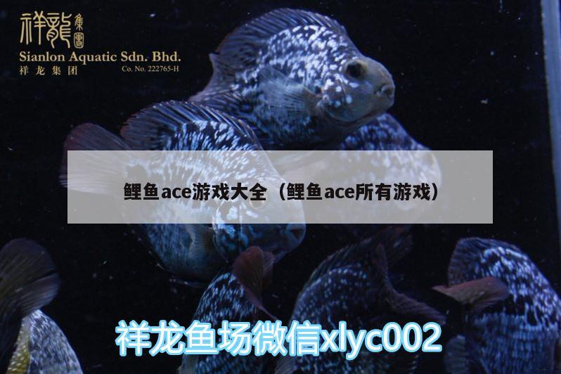 鯉魚ace游戲大全（鯉魚ace所有游戲）