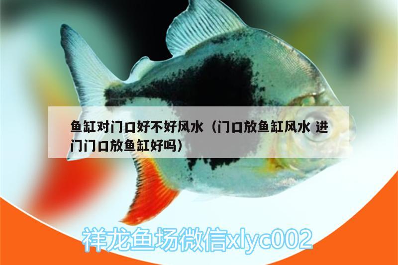 魚(yú)缸對(duì)門(mén)口好不好風(fēng)水（門(mén)口放魚(yú)缸風(fēng)水進(jìn)門(mén)門(mén)口放魚(yú)缸好嗎）