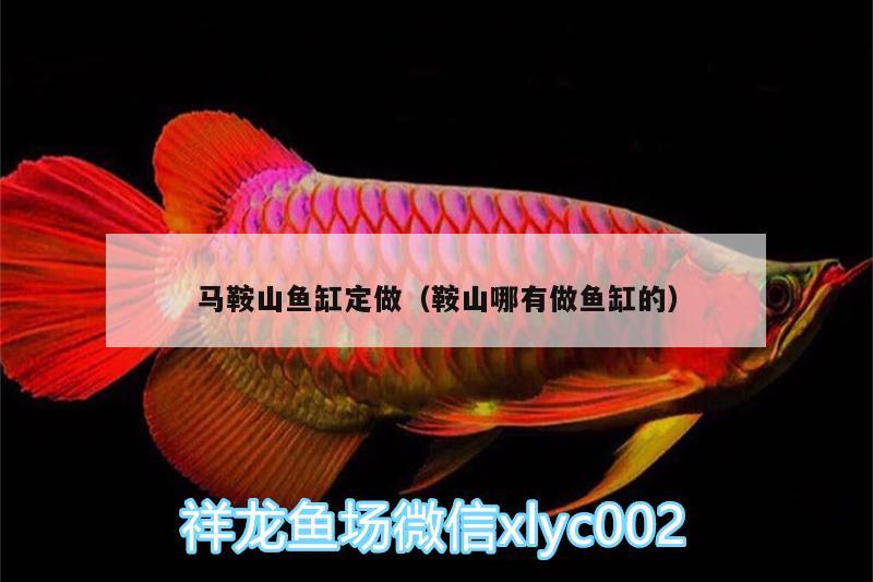 馬鞍山魚缸定做（鞍山哪有做魚缸的） 藍(lán)底過背金龍魚 第2張