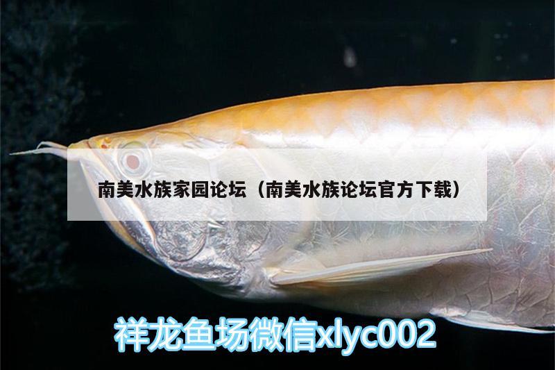 南美水族家園論壇（南美水族論壇官方下載）