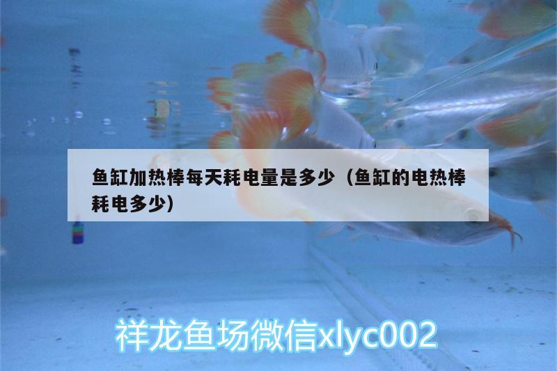 魚(yú)缸加熱棒每天耗電量是多少（魚(yú)缸的電熱棒耗電多少）