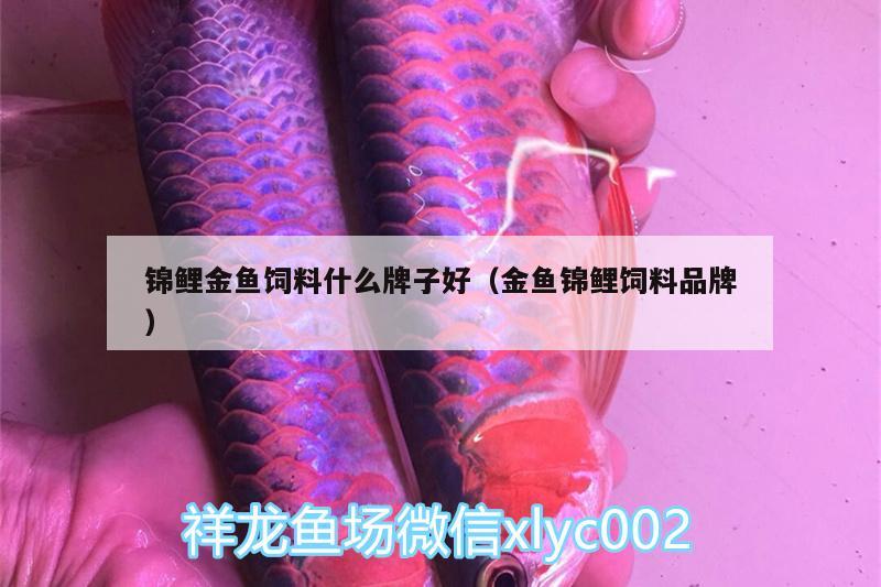 錦鯉金魚(yú)飼料什么牌子好（金魚(yú)錦鯉飼料品牌） 魟魚(yú)百科