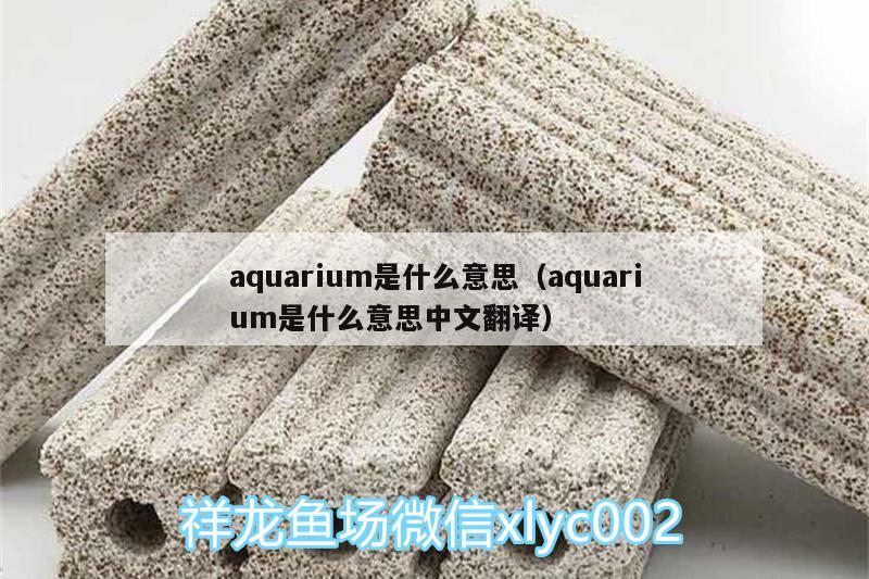 aquarium是什么意思（aquarium是什么意思中文翻譯）