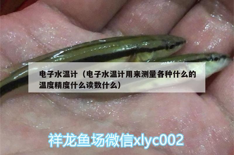 電子水溫計(jì)（電子水溫計(jì)用來測量各種什么的溫度精度什么讀數(shù)什么） 水溫計(jì) 第3張