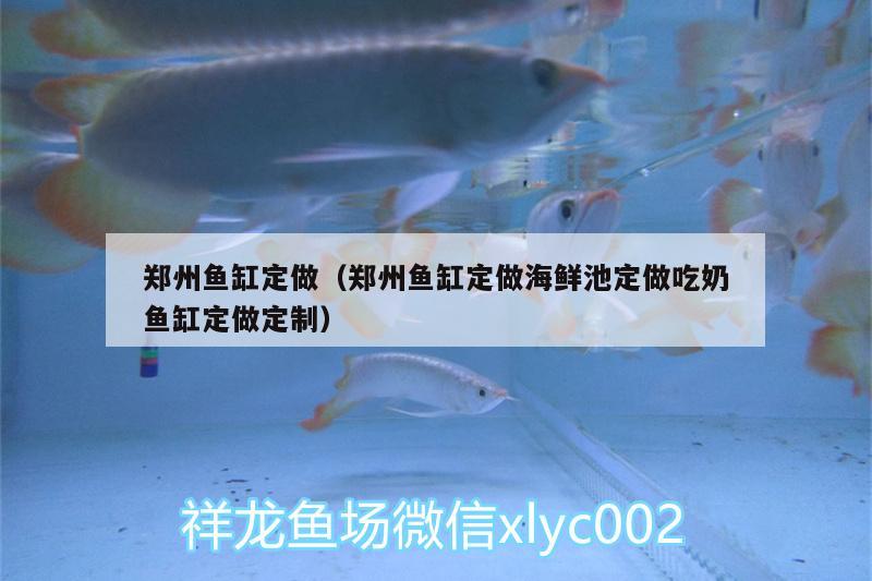 鄭州魚缸定做（鄭州魚缸定做海鮮池定做吃奶魚缸定做定制）