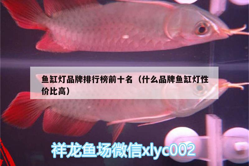 魚缸燈品牌排行榜前十名（什么品牌魚缸燈性價比高） 觀賞魚魚苗 第3張