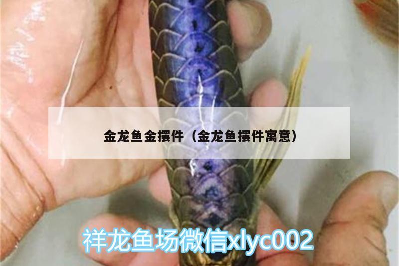 金龍魚金擺件（金龍魚擺件寓意） 眼斑魚 第1張