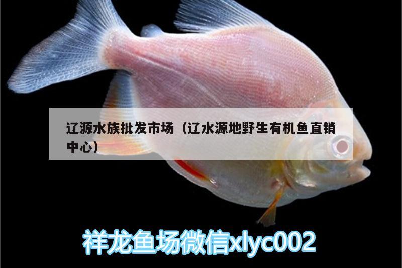 遼源水族批發(fā)市場（遼水源地野生有機(jī)魚直銷中心） 觀賞魚水族批發(fā)市場