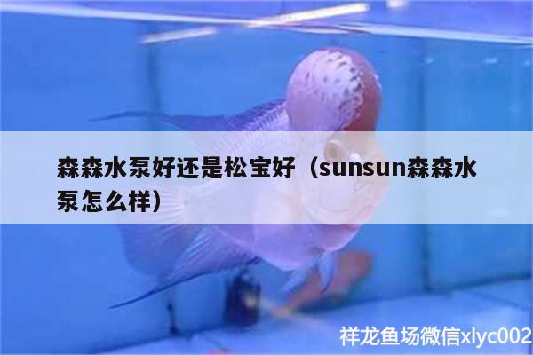 森森水泵好還是松寶好（sunsun森森水泵怎么樣）