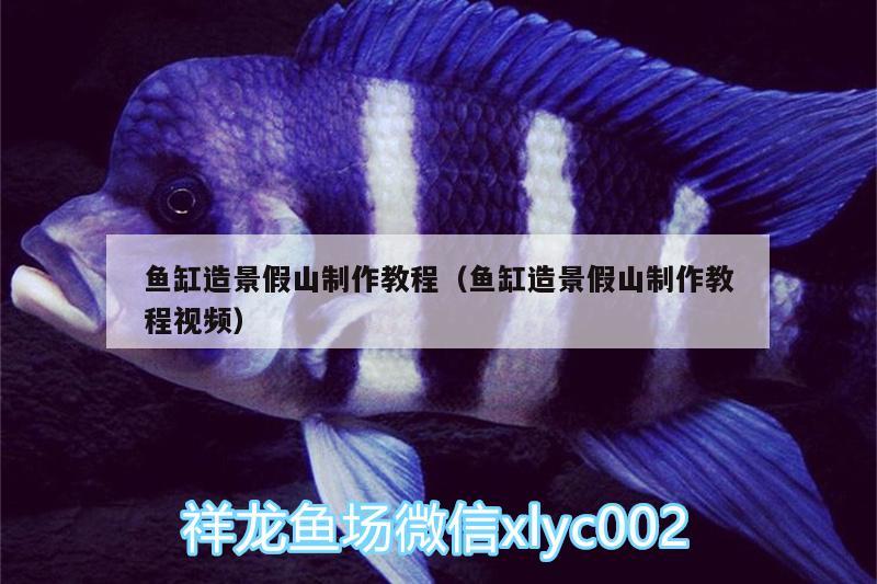 魚(yú)缸造景假山制作教程（魚(yú)缸造景假山制作教程視頻）