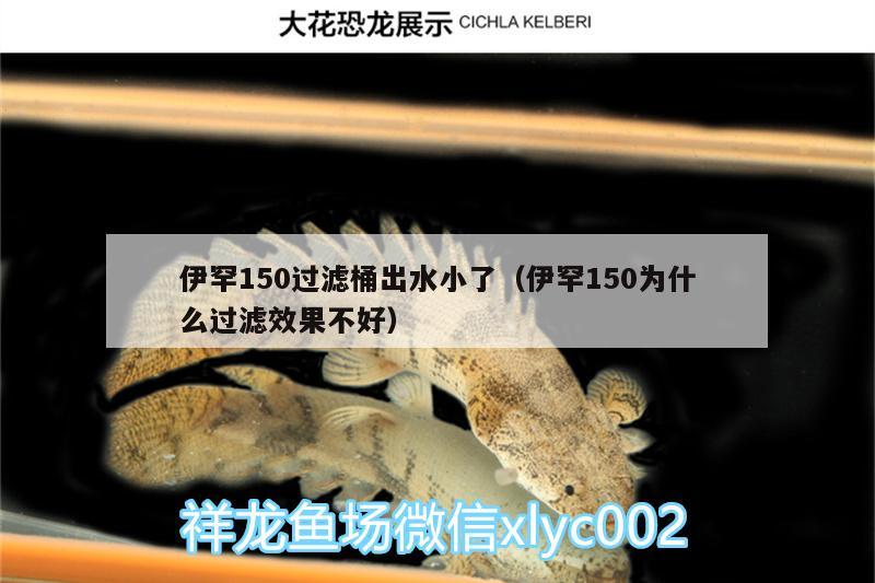 伊罕150過(guò)濾桶出水小了（伊罕150為什么過(guò)濾效果不好）