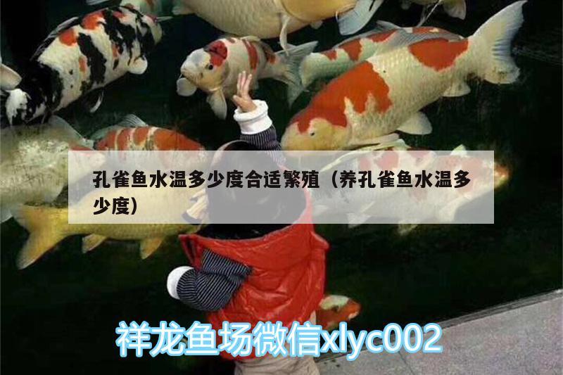 孔雀魚水溫多少度合適繁殖（養(yǎng)孔雀魚水溫多少度）