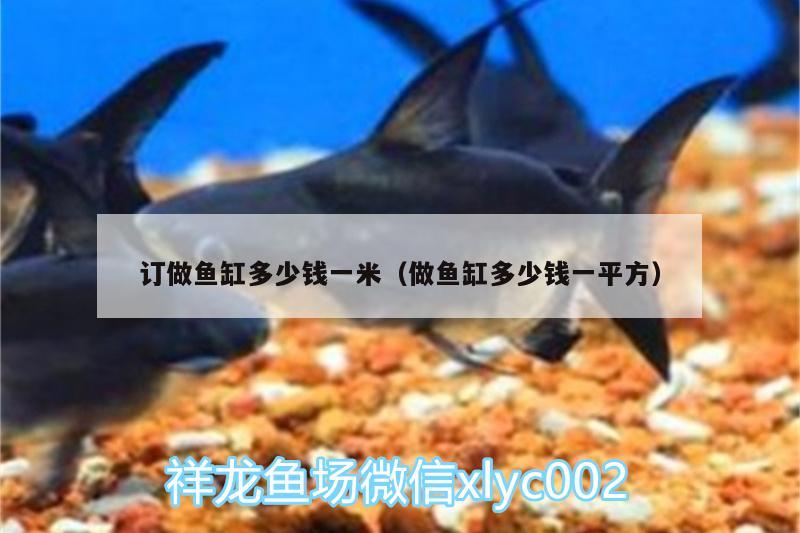 訂做魚缸多少錢一米（做魚缸多少錢一平方）