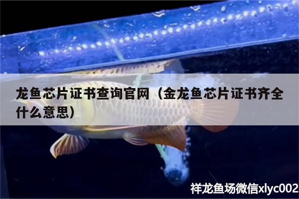 龍魚芯片證書查詢官網(wǎng)（金龍魚芯片證書齊全什么意思）