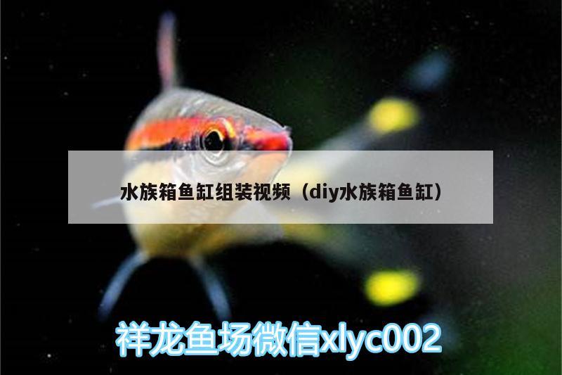 水族箱魚缸組裝視頻（diy水族箱魚缸） 魚缸/水族箱 第1張