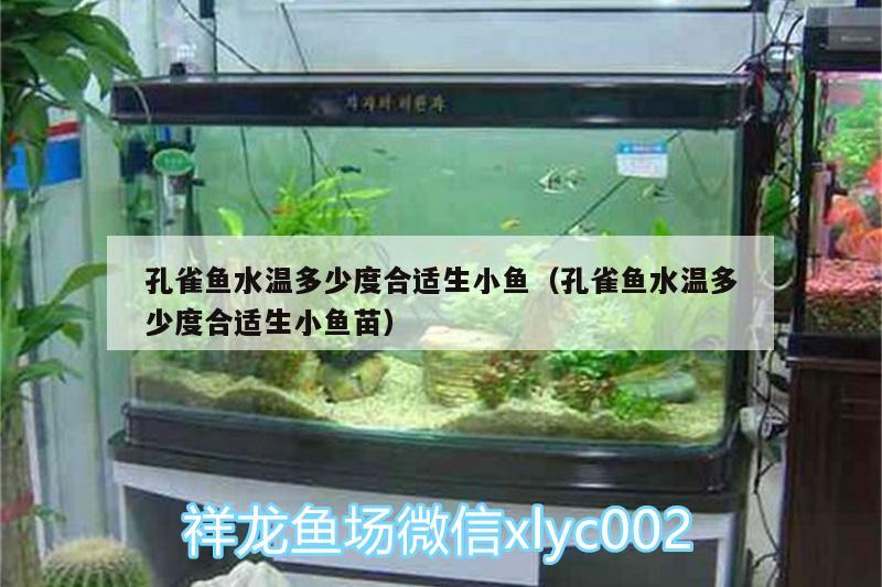 孔雀魚水溫多少度合適生小魚（孔雀魚水溫多少度合適生小魚苗）